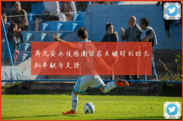 再见安永佳感谢你在关键时刻的无私奉献与支持